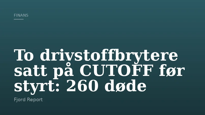To drivstoffbrytere satt på CUTOFF før styrt: 260 døde
