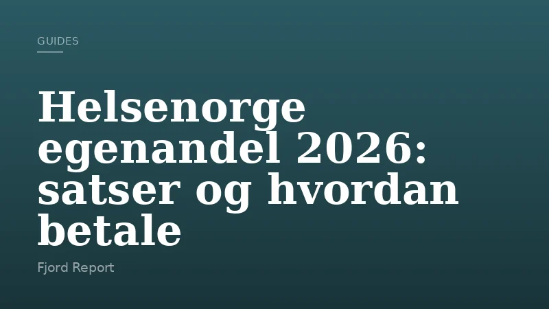 Helsenorge egenandel 2026: satser og hvordan betale