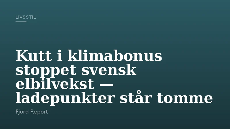Kutt i klimabonus stoppet svensk elbilvekst — ladepunkter står tomme