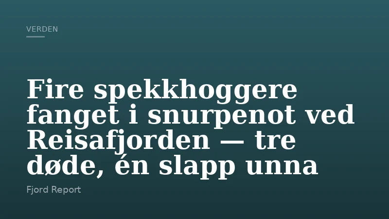 Fire spekkhoggere fanget i snurpenot ved Reisafjorden — tre døde, én slapp unna