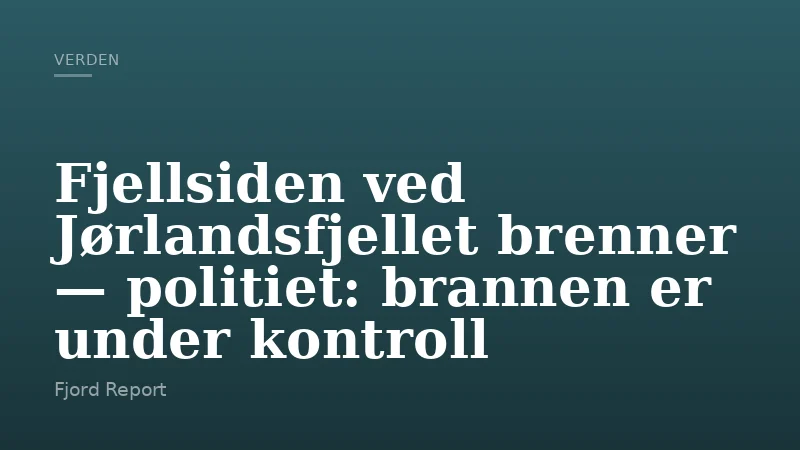 Fjellsiden ved Jørlandsfjellet brenner — politiet: brannen er under kontroll