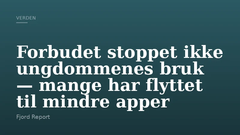 Forbudet stoppet ikke ungdommenes bruk — mange har flyttet til mindre apper