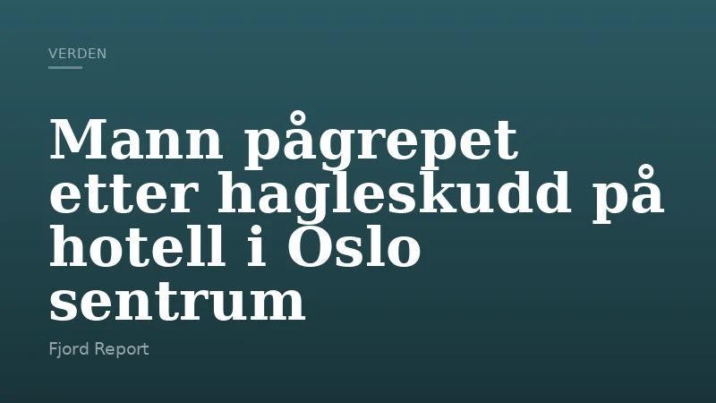 Mann pågrepet etter hagleskudd på hotell i Oslo sentrum
